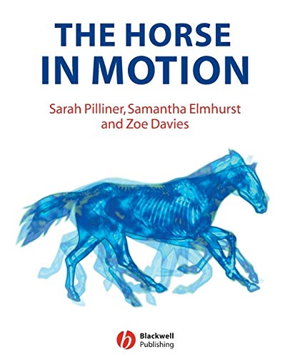 The Horse In Motion
