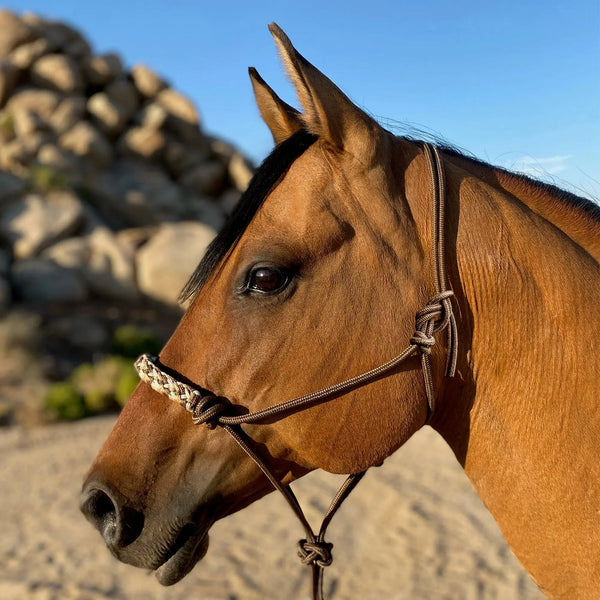Halters