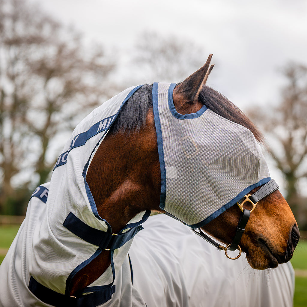 Tack – Off The Beaten Path Saddlery