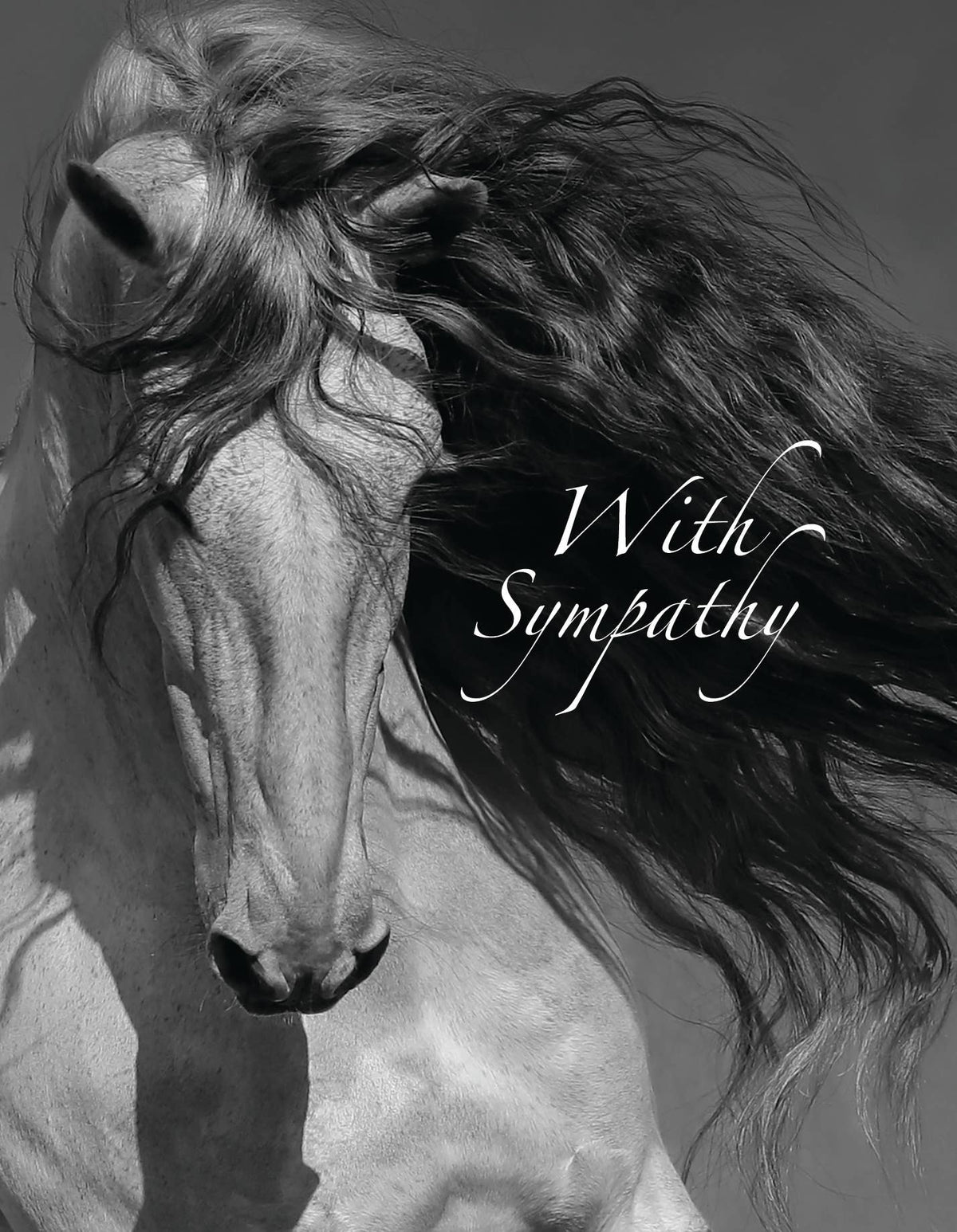 Horse Hollow Press - Horse Sympathy Greeting Card | With Sympathy Grey Horse
