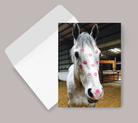 Horse Hollow Press - Horse Birthday Card | Gray & Kisses