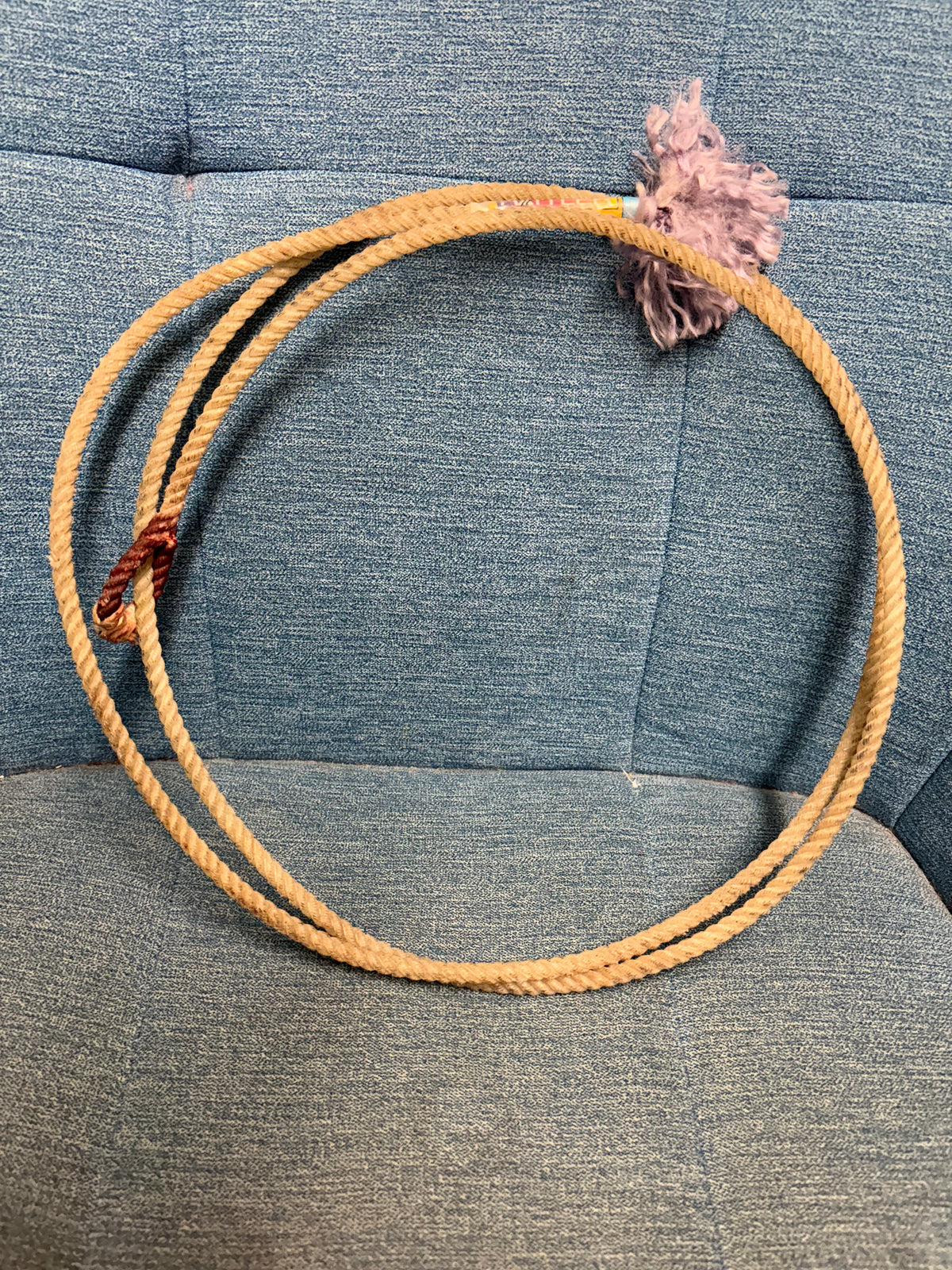 Pigging String