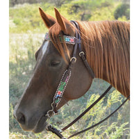 Circle Y Vibrant Garden Headstall