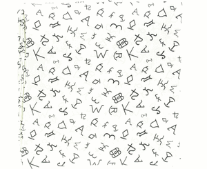 Wild Rags Silk