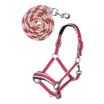 HKM Head Collar w/lead rope snap hook