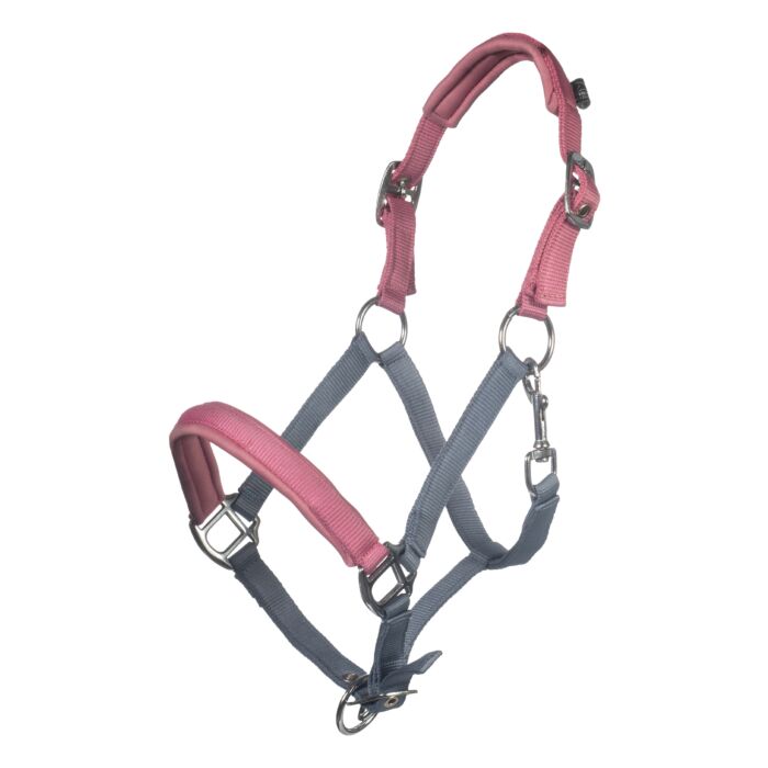 HKM Head Collar Barnie
