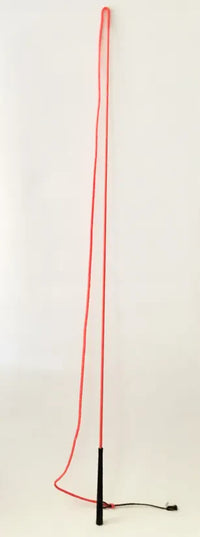 Whip Lunge 65", 73" Drop, 10" Popper