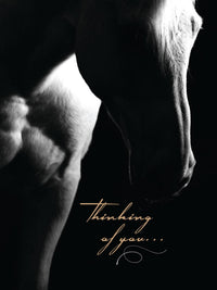 Horse Hollow Press - Horse Sympathy Greeting Card | Thinking of you
