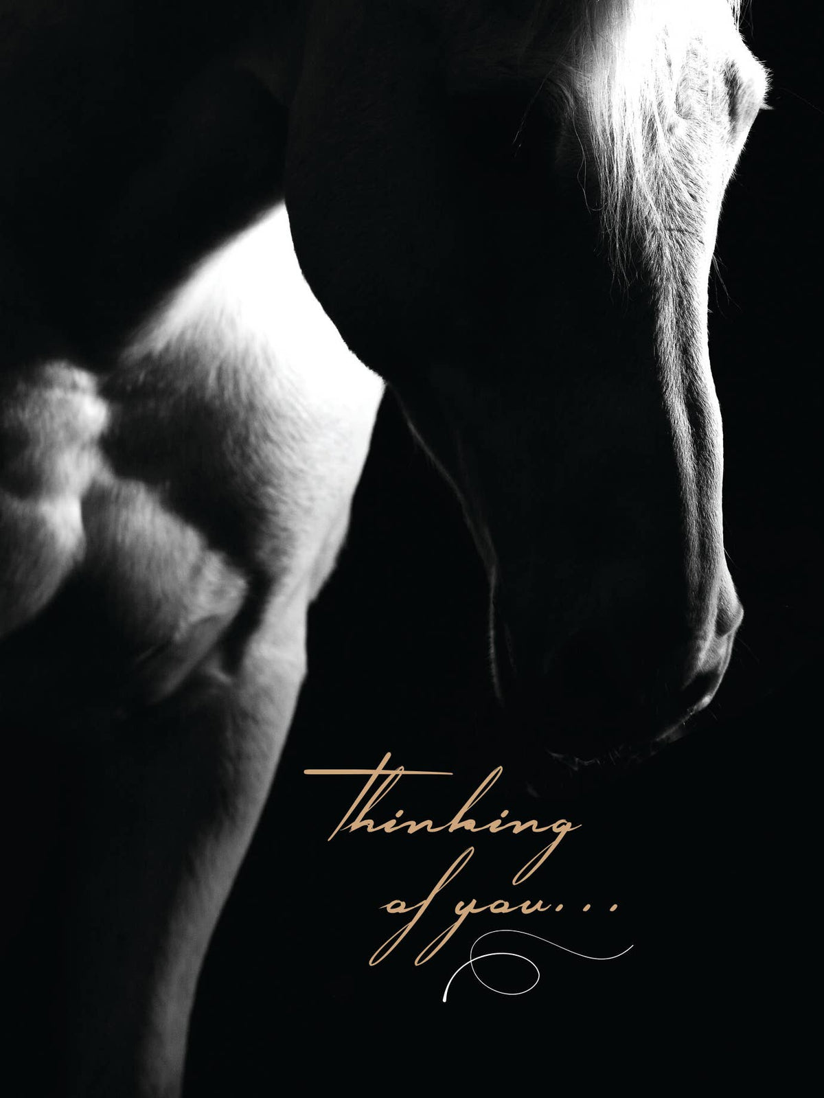 Horse Hollow Press - Horse Sympathy Greeting Card | Thinking of you