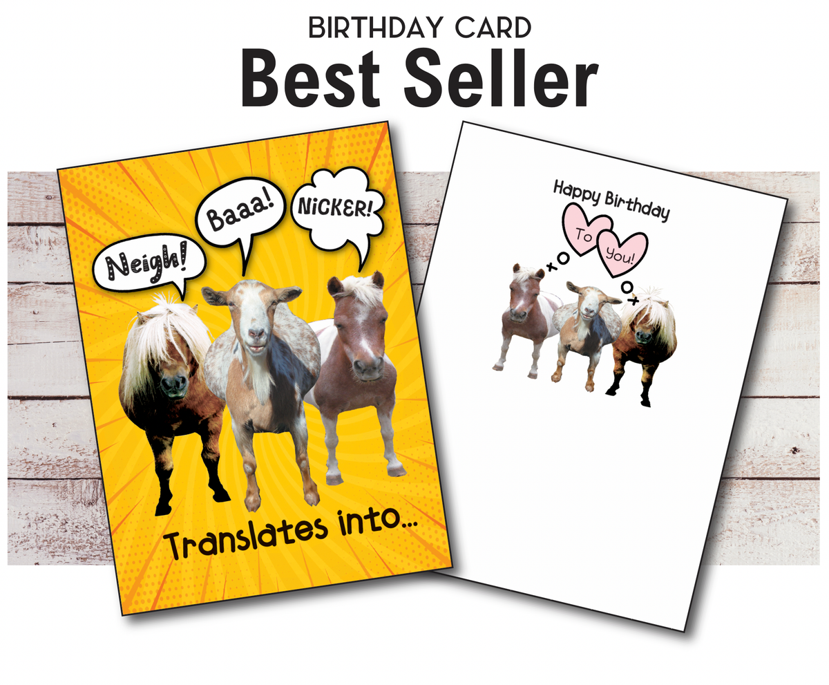 Horse Hollow Press - Horse Birthday Card | Nicker, Neigh