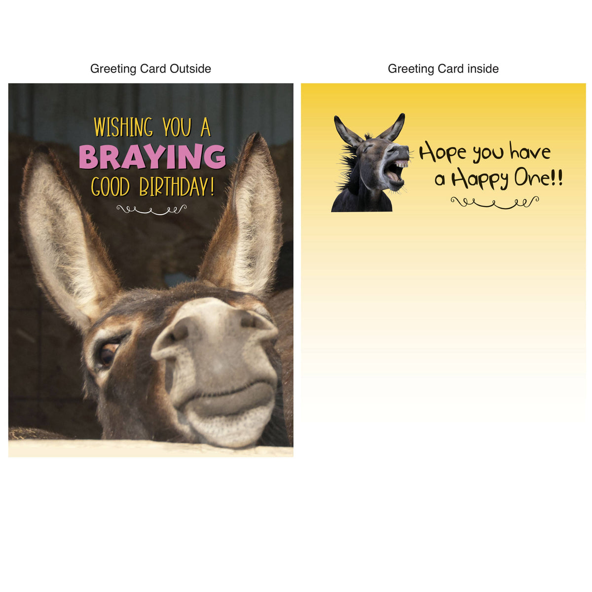 Horse Hollow Press - Donkey Birthday Card