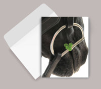 Horse Hollow Press - Horse Greeting Card | Blank Inside | Four Leaf Clover