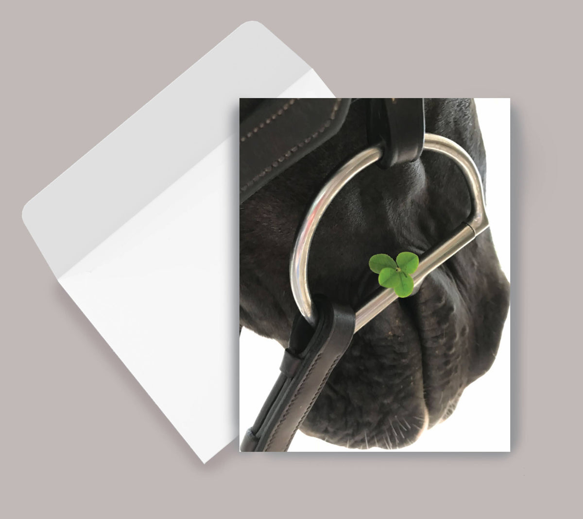 Horse Hollow Press - Horse Greeting Card | Blank Inside | Four Leaf Clover