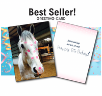 Horse Hollow Press - Horse Birthday Card | Gray & Kisses