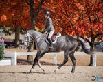 Sparrow Equestrian Competition Breeches