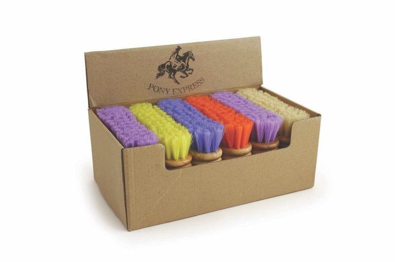PonyExpress™ Soft Synthetic Fiber 4 1/2" Face Brush Counter Display Variety: Purple, Red, Lime, Blue, Natural #EA4499