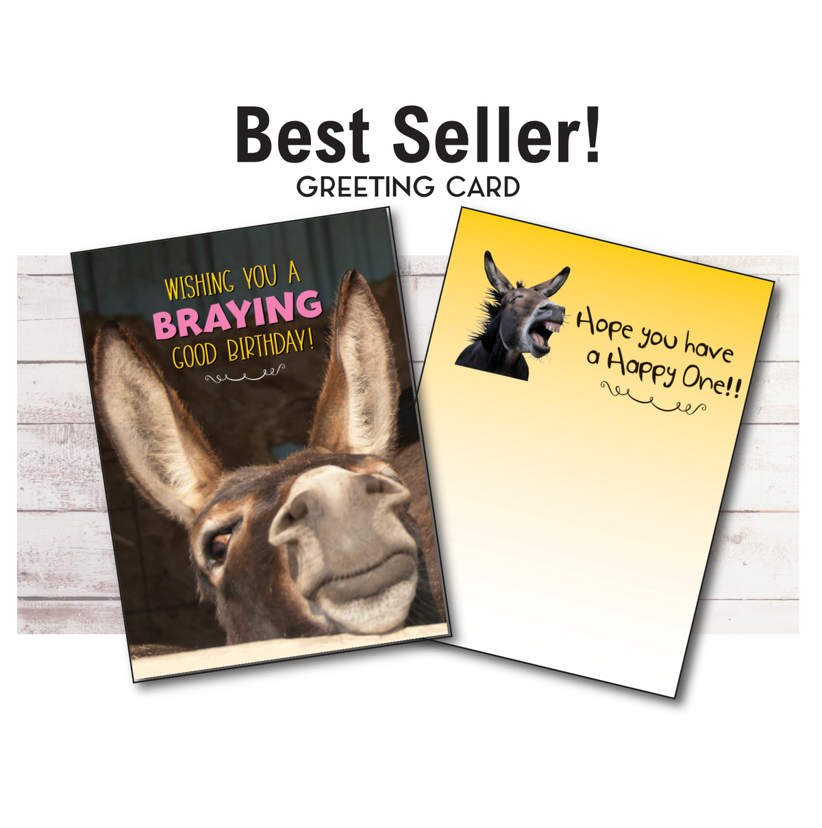 Horse Hollow Press - Donkey Birthday Card