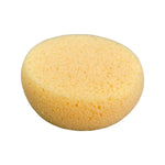 Premium Tack Sponge Round 12 Pk #45518