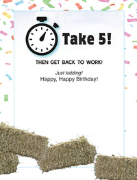 Horse Hollow Press - Horse Birthday Card | Horse Husband