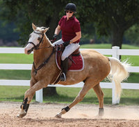 Sparrow Equestrian Riding Tights