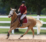 Sparrow Equestrian Riding Tights