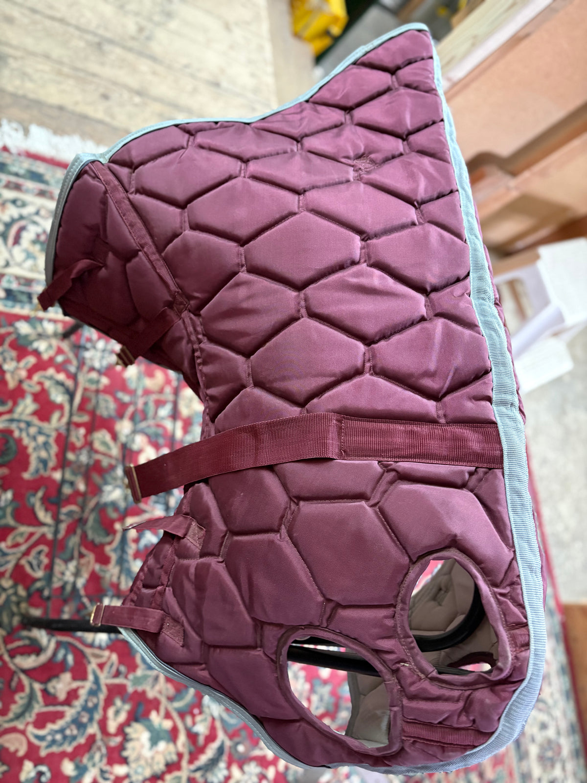 Horse Blanket Hood - Maroon