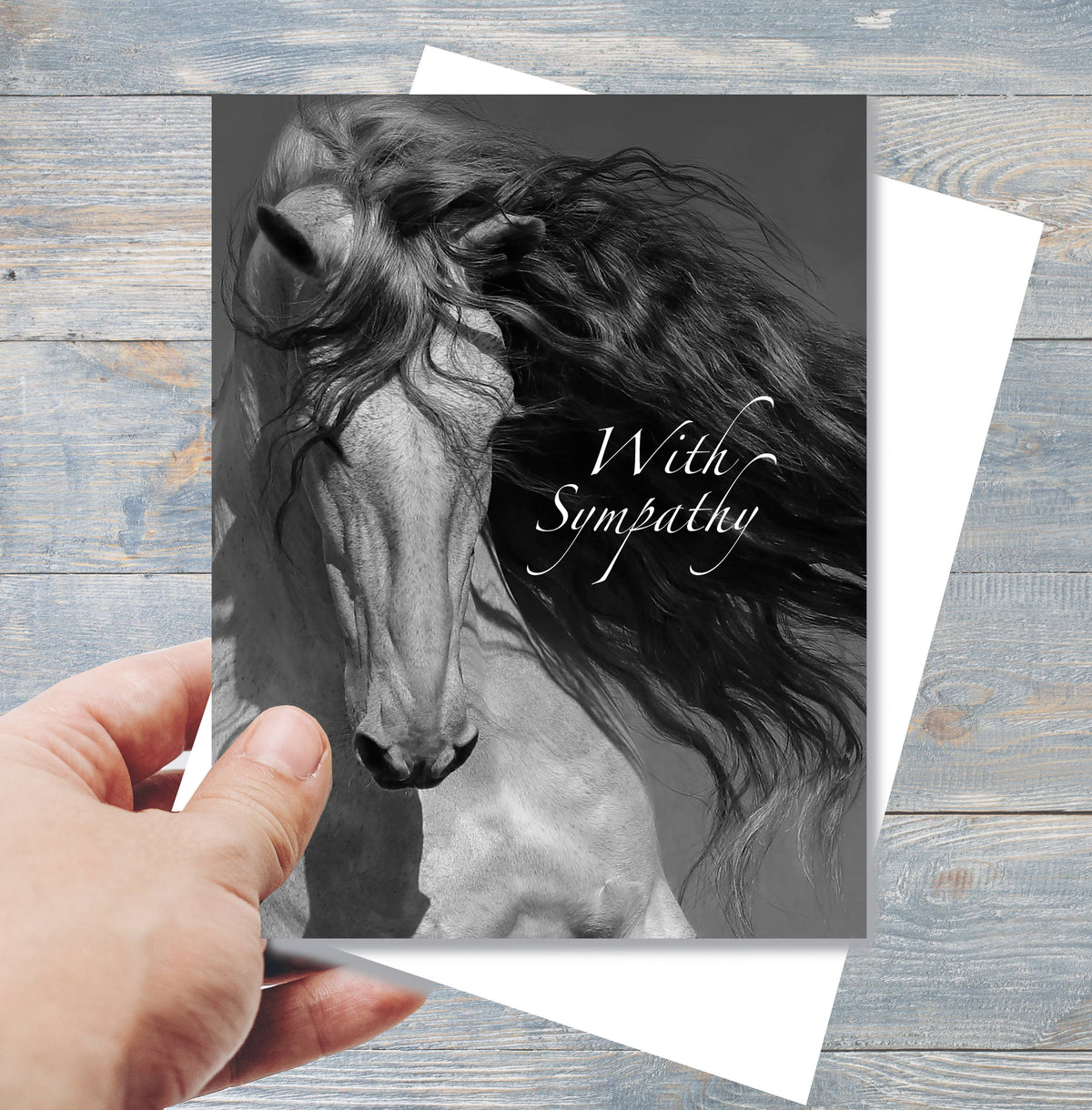 Horse Hollow Press - Horse Sympathy Greeting Card | With Sympathy Grey Horse