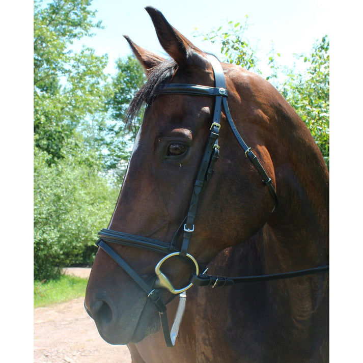 Henri de Rivel Pro Padded Dressage Bridle with Flash and Wed Reins