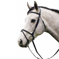 Henri de Rivel Pro Padded Dressage Bridle with Flash and Wed Reins