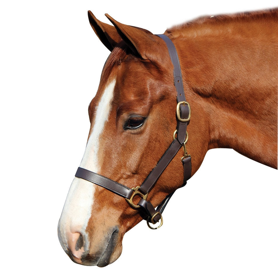 Henri De Rivel Leather Halter