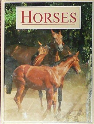 Horses by Treasure Press
