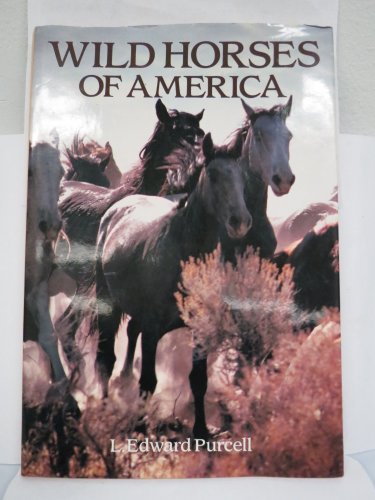 Wild Horses of America - Purcell