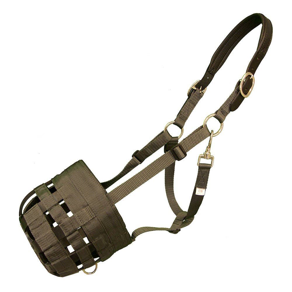 Intrepid International - Best Friend Padded Leather Crown Grazing Muzzle