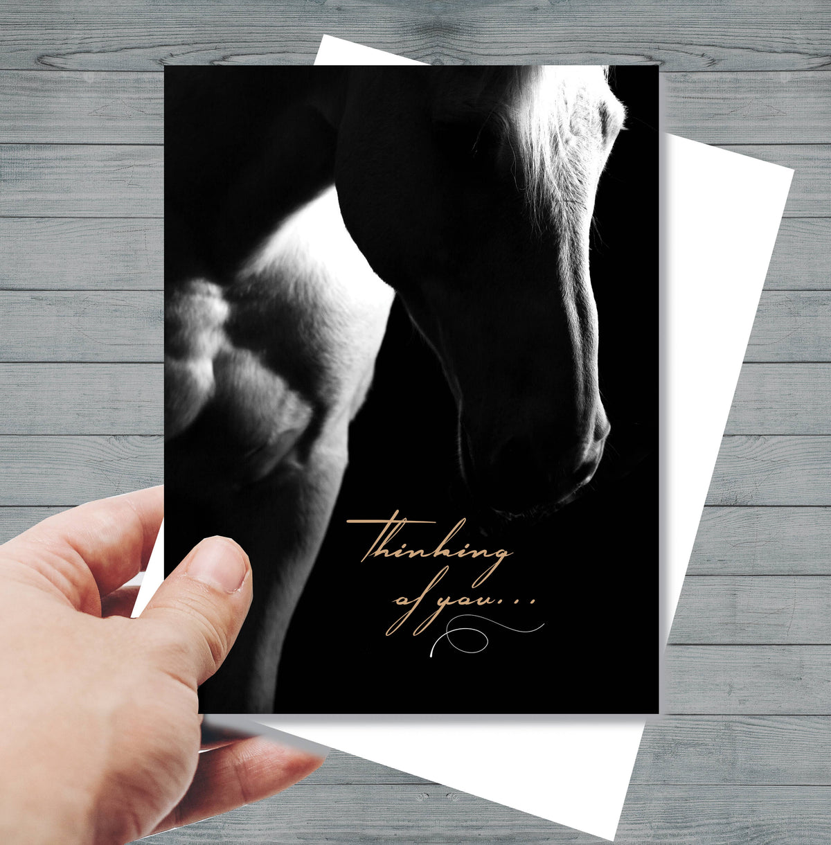 Horse Hollow Press - Horse Sympathy Greeting Card | Thinking of you