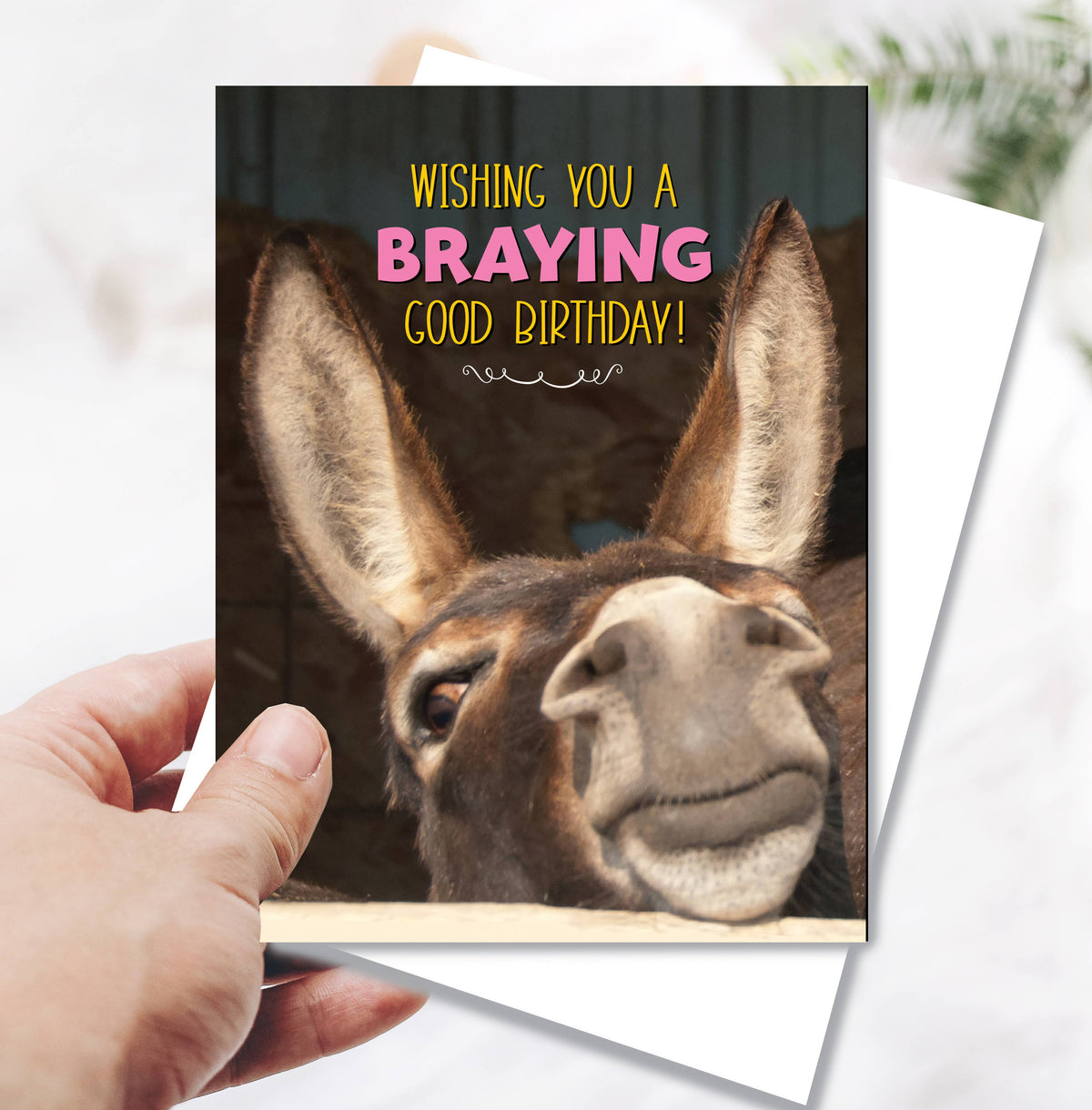 Horse Hollow Press - Donkey Birthday Card