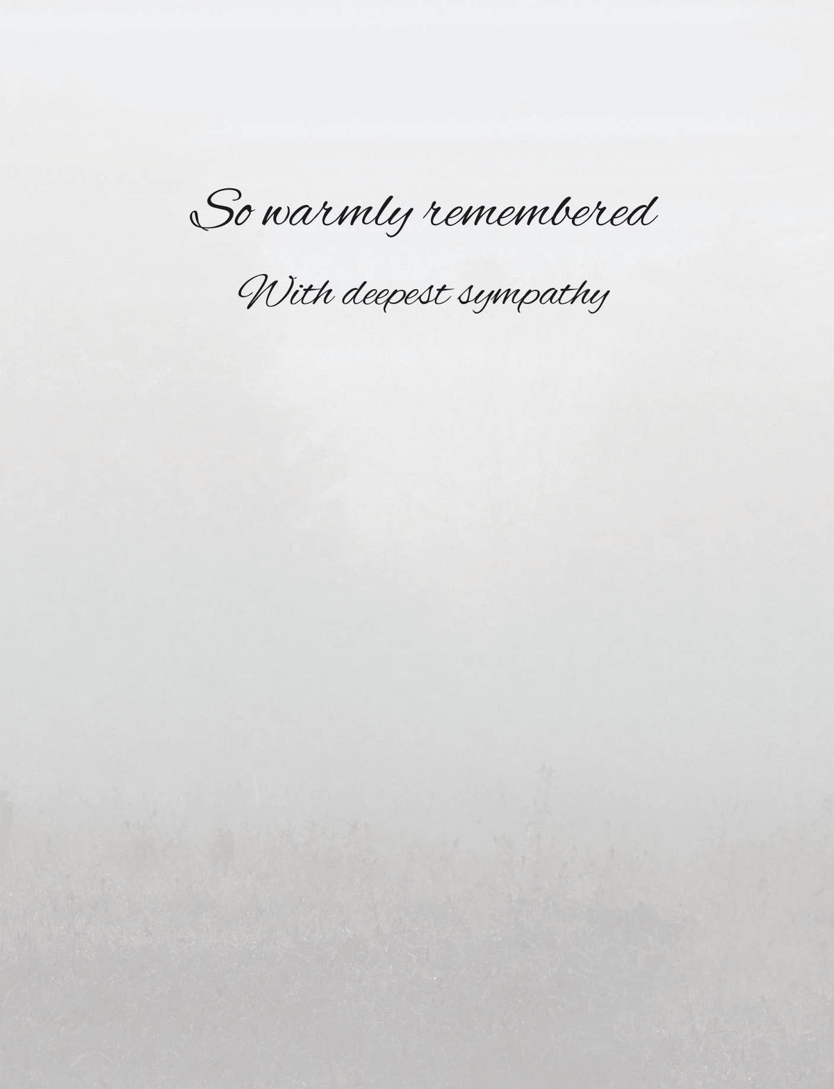 Horse Hollow Press - Horse Sympathy Greeting Card | So special... | Horse in Mist