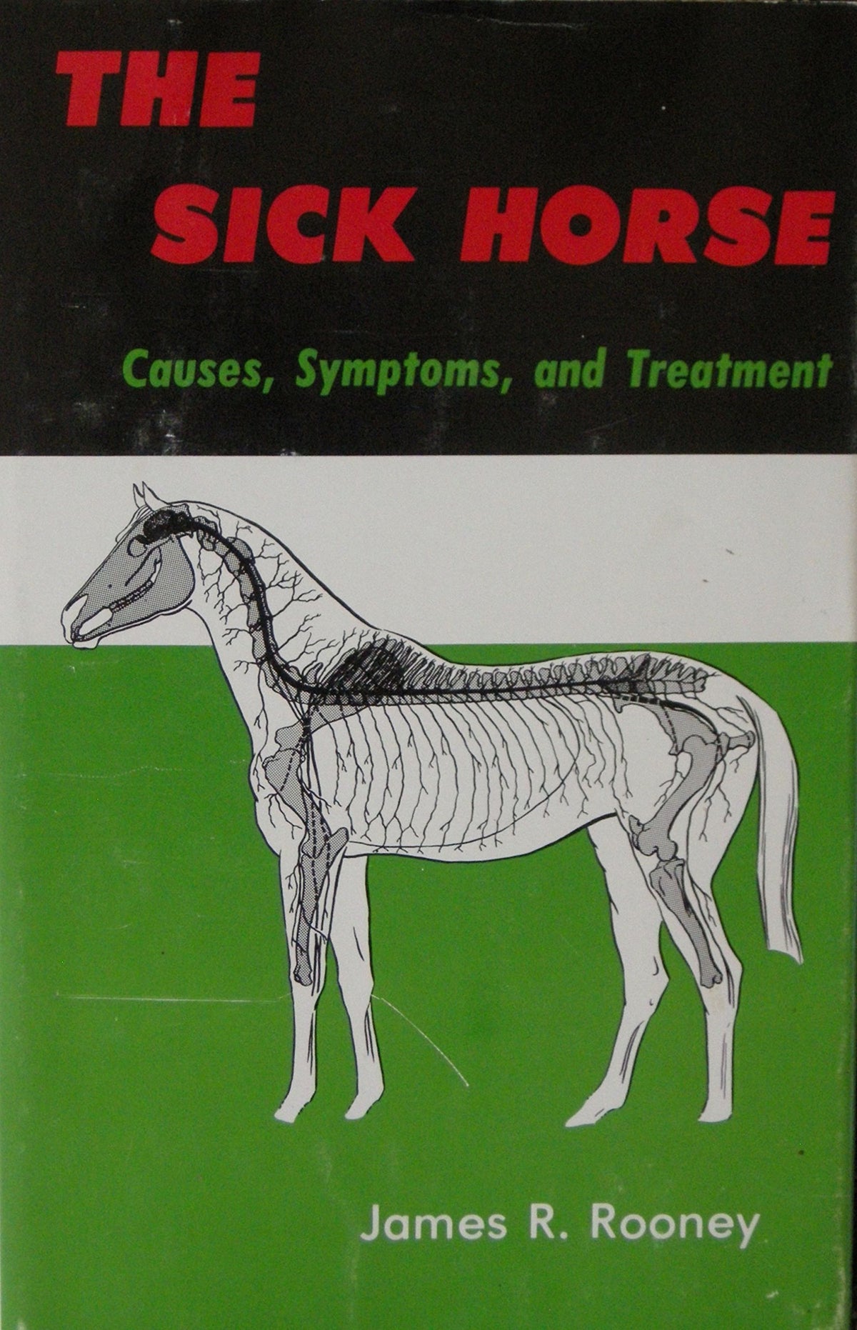 The Sick Horse: Causes, Symptoms, and Treatment