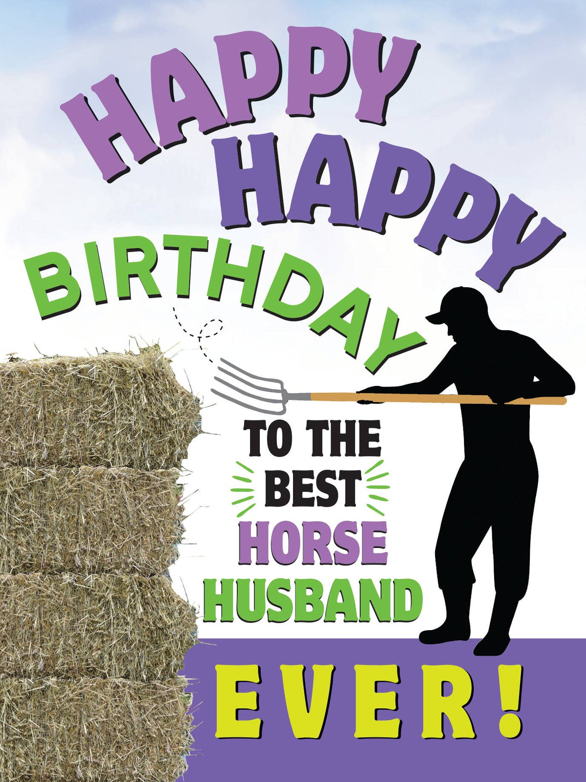 Horse Hollow Press - Horse Birthday Card | Horse Husband