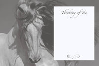 Horse Hollow Press - Horse Sympathy Greeting Card | With Sympathy Grey Horse