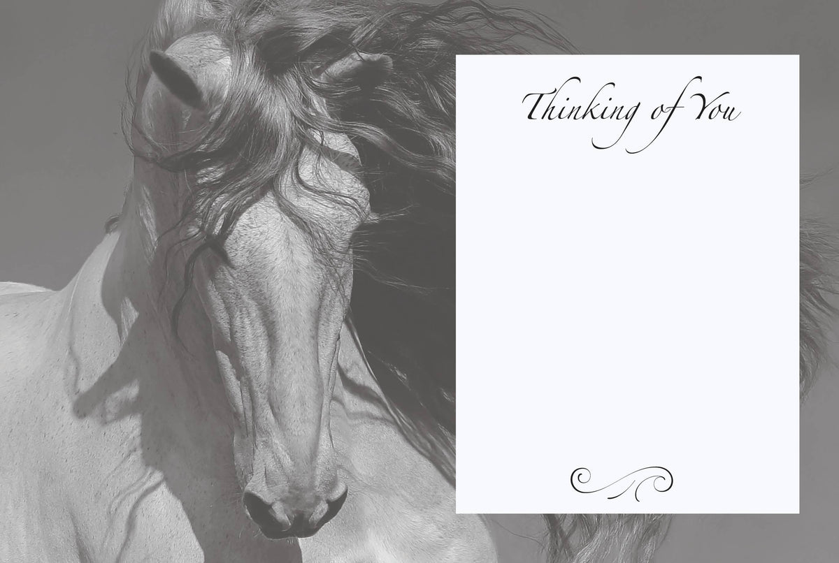 Horse Hollow Press - Horse Sympathy Greeting Card | With Sympathy Grey Horse