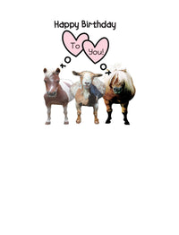 Horse Hollow Press - Horse Birthday Card | Nicker, Neigh