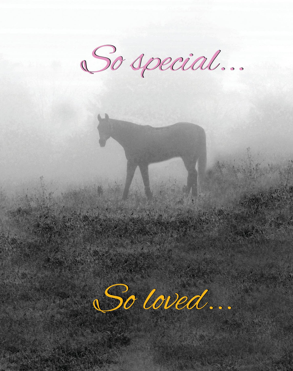 Horse Hollow Press - Horse Sympathy Greeting Card | So special... | Horse in Mist