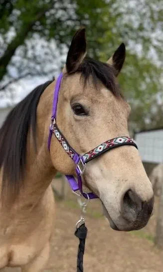 Nylon Horse Beaded Halter Nickel Plated Hardware, 8 Foot Lead Rope, Purple #91013