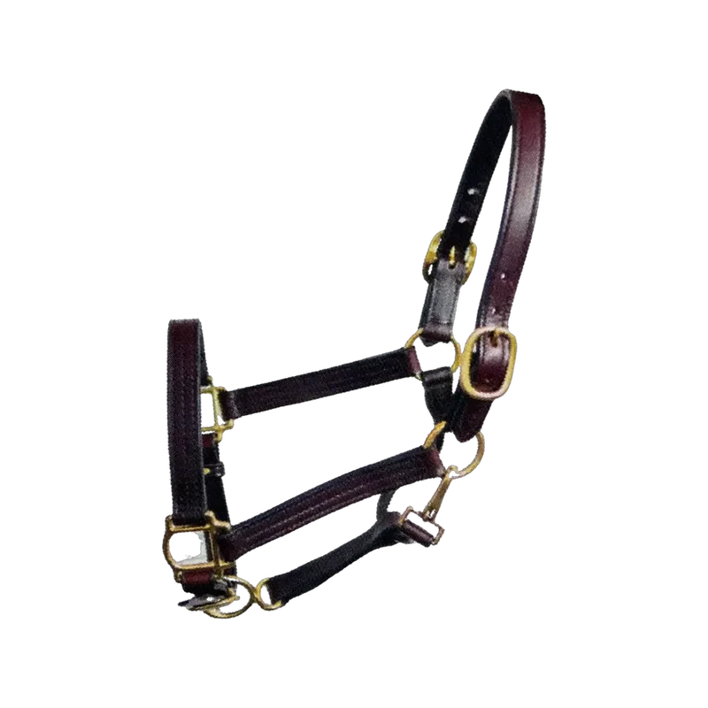 Deluxe Leather Track Halter Horse Size