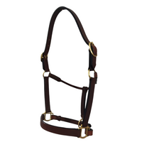 Deluxe Leather Halter, Double Buckles, Polished Brass Hardware, Horse Size #92010