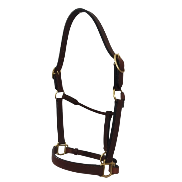 Deluxe Leather Halter, Double Buckles, Polished Brass Hardware, Horse Size #92010
