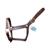 Brown leather horse halter with brass hardware on a white background