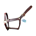 Brown leather horse halter with brass hardware on a white background