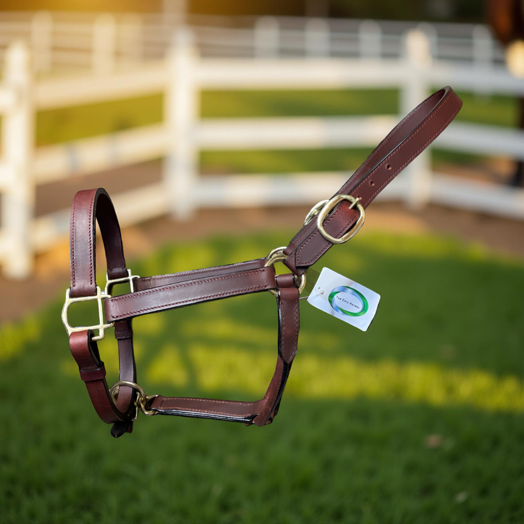 Deluxe Leather Halter, Double Buckles, Polished Brass Hardware, Horse Size #92010