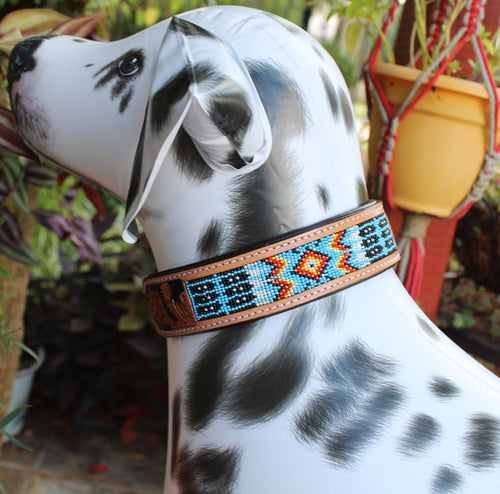 Puppy Collar Genuine Cow Leather Padded 